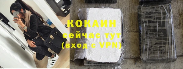 винт Верея