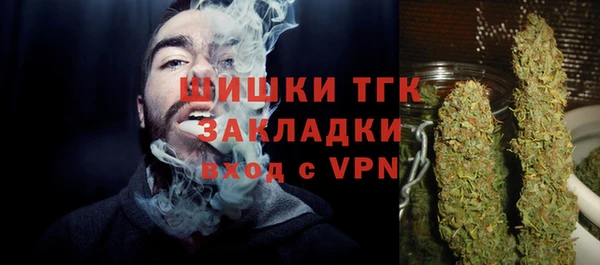 винт Верея