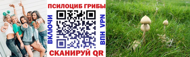 Псилоцибиновые грибы MAGIC MUSHROOMS  купить   мориарти Telegram  Чебоксары 